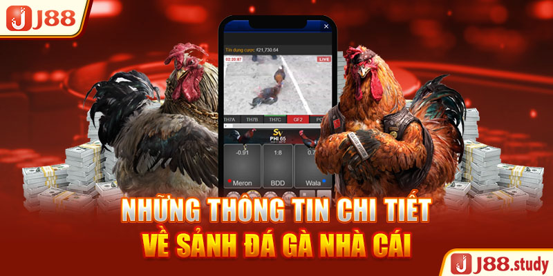 nhung-thong-tin-chi-tiet-ve-sanh-da-ga-nha-cai